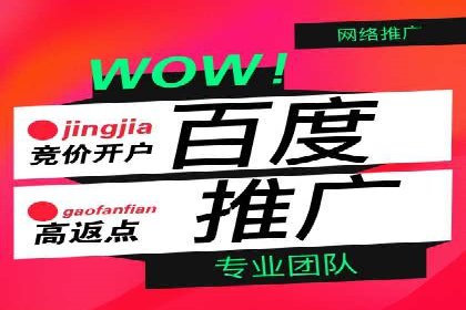 竞价推广策略：某电商平台的成功之路
